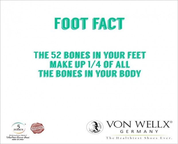 52 Bones in your Feet Fact